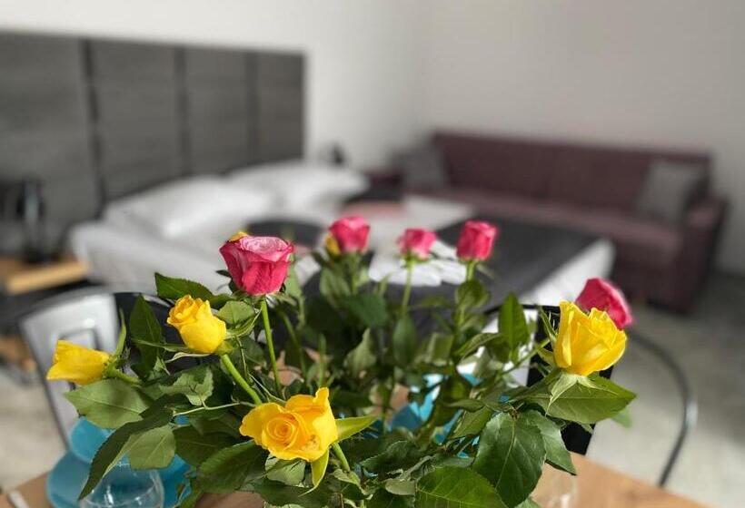 استودیو استاندارد با چشمانداز, Willa Luiza