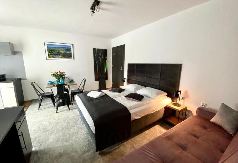 استودیو استاندارد با چشمانداز, Willa Luiza