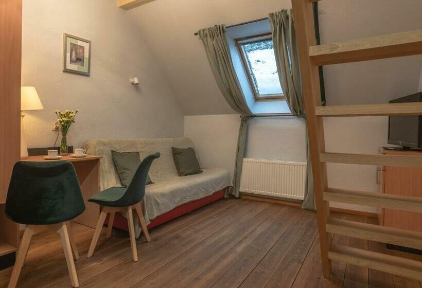 Трежместный Номер Economy, Dom Potok