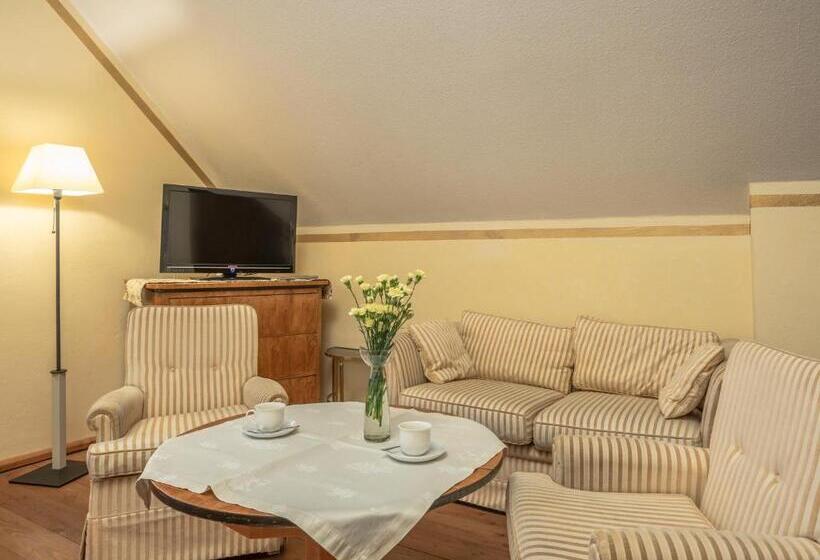 Номер Deluxe, Dom Potok