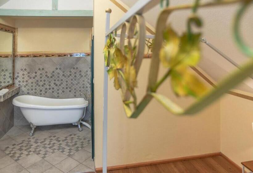 Номер Deluxe, Dom Potok