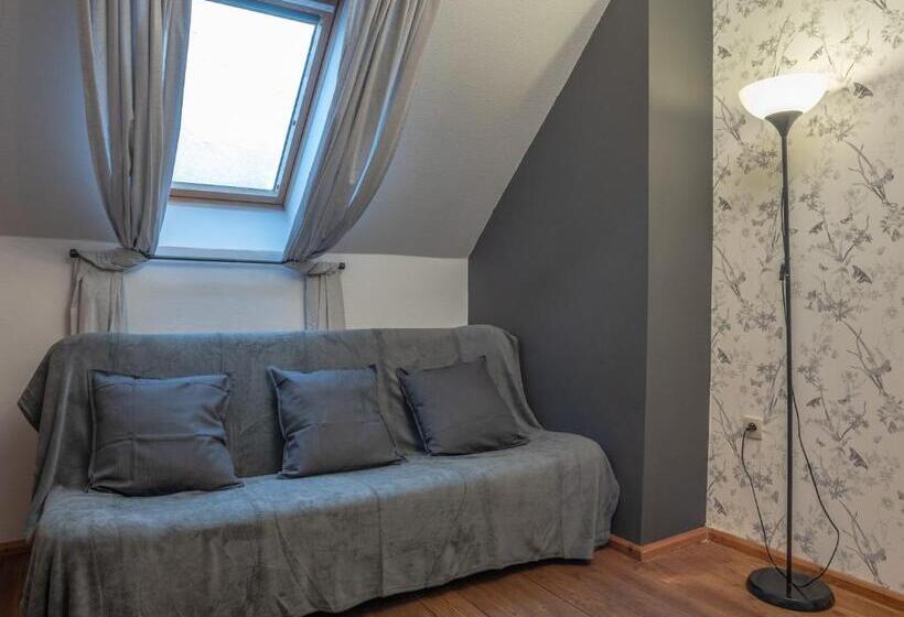 Трежместный Номер Economy, Dom Potok