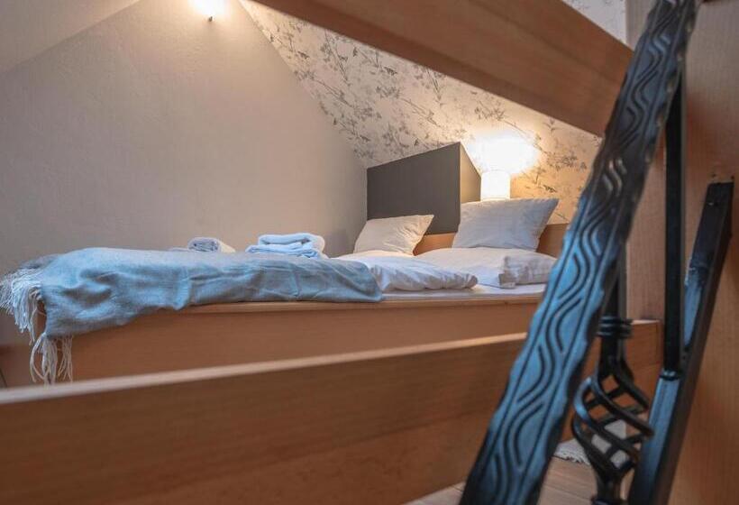 Трежместный Номер Economy, Dom Potok