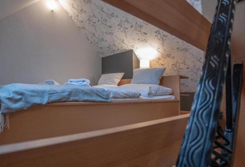 Трежместный Номер Economy, Dom Potok