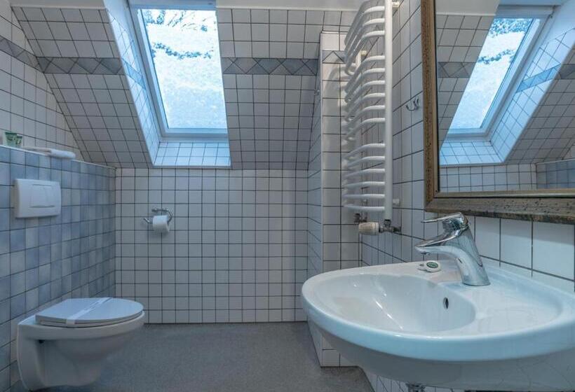 Трежместный Номер Economy, Dom Potok