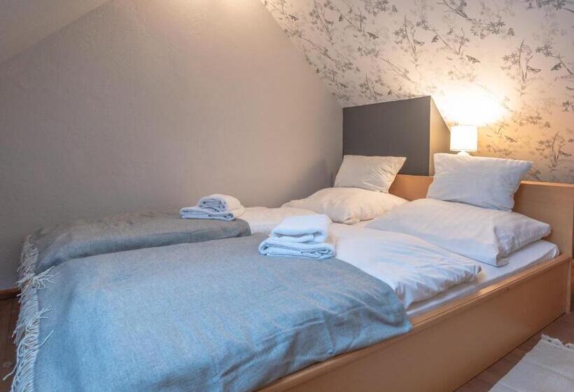 Трежместный Номер Economy, Dom Potok