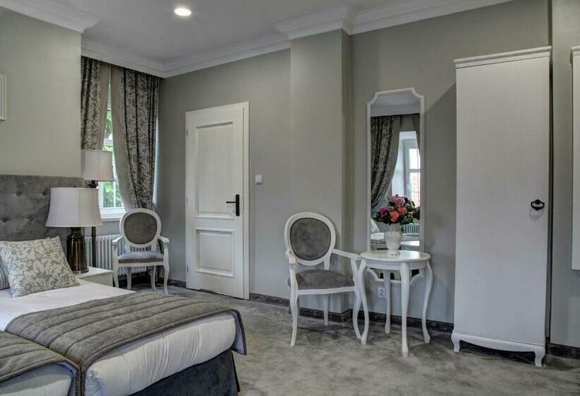 חדר דלוקס נוף לגינה, Pałac W Bądzowie