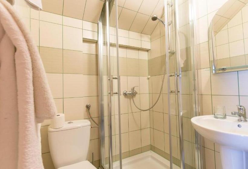 标准间带湖景, Pensjonat Na Górce   Widok Na Jezioro Solińskie I Góry 534 556 639