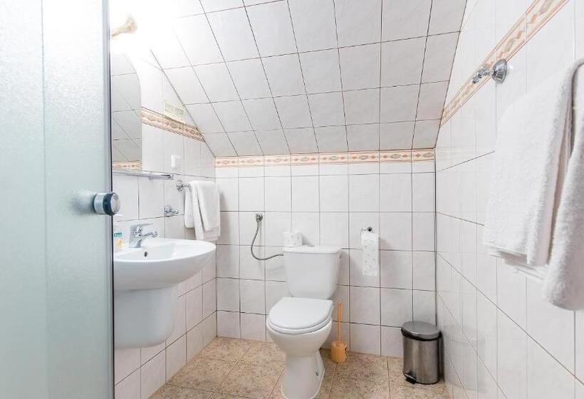 标准间带湖景, Pensjonat Na Górce   Widok Na Jezioro Solińskie I Góry 534 556 639