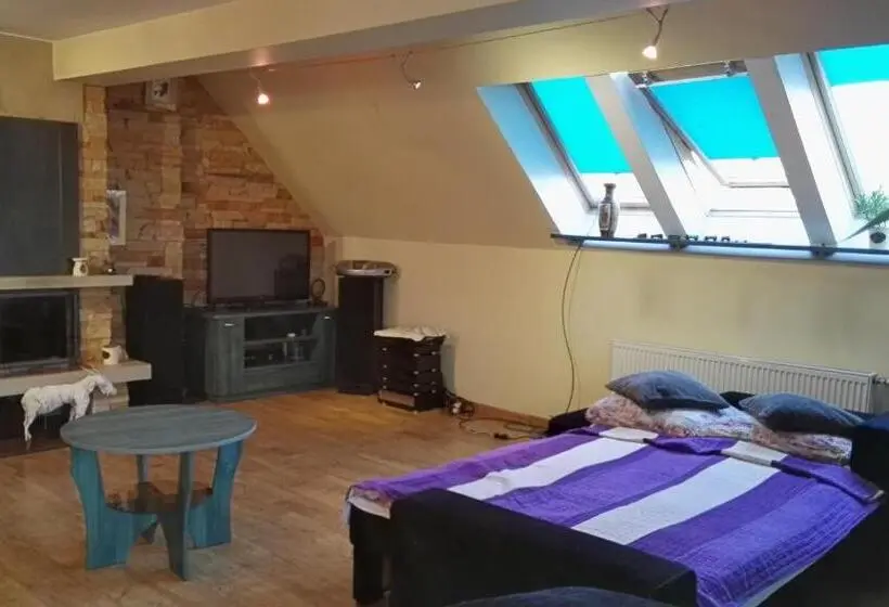 １ベッドルームアパートメント, Hostel Zamość   Pokoje Gościnne