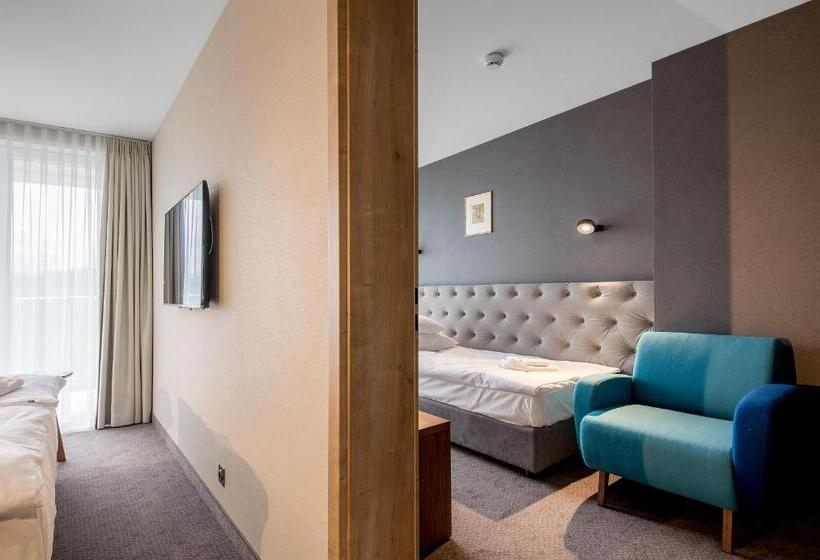 Трехместный Номер Классика, Harnaś Dla Dorosłych Z Widokiem Na Tatry   Adults Only