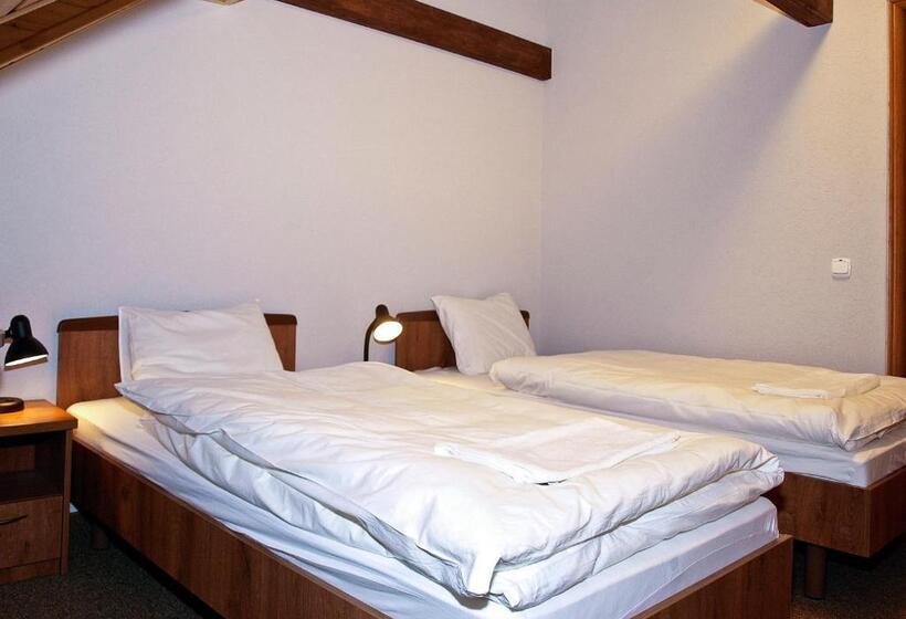 اتاق استاندارد, Noclegi Helvet