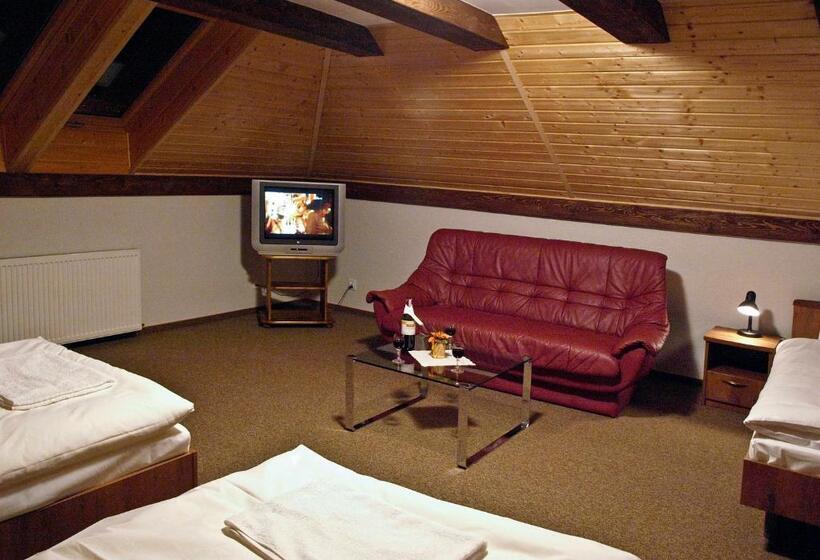 اتاق استاندارد چهار تخته, Noclegi Helvet