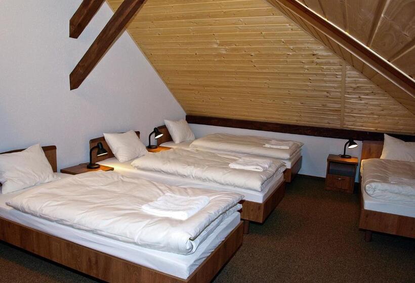 اتاق استاندارد چهار تخته, Noclegi Helvet