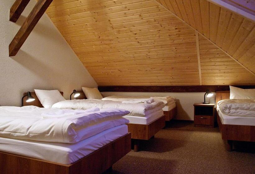 اتاق استاندارد چهار تخته, Noclegi Helvet