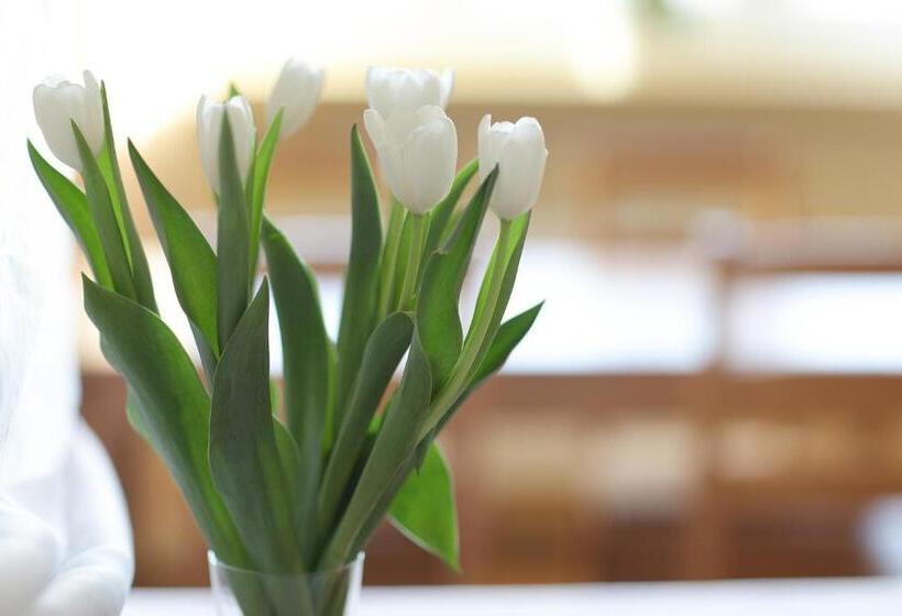 اتاق استاندارد, Włókniarz