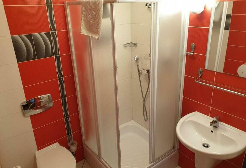 חדר סטנדרט לשלושה, Motel Comet