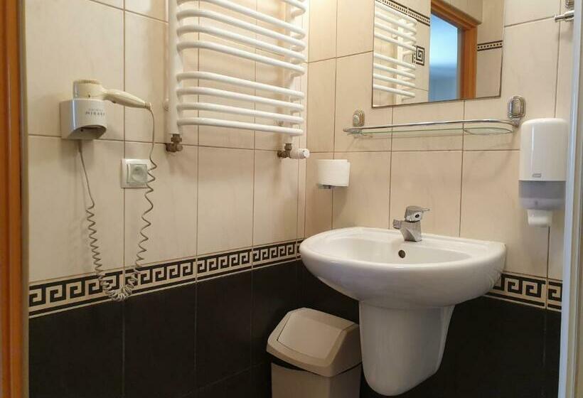 חדר סטנדרט לשלושה, Motel Comet