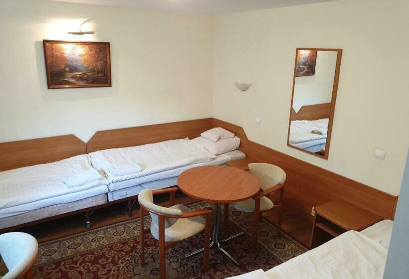 חדר סטנדרט לשלושה, Motel Comet