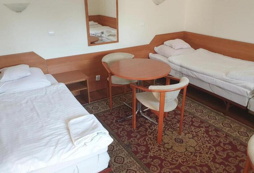 חדר סטנדרט לשלושה, Motel Comet