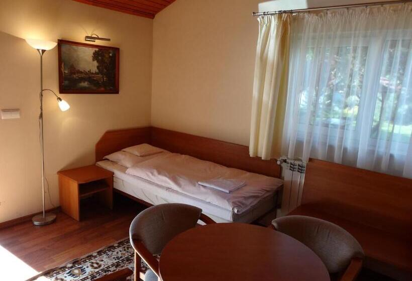 חדר סטנדרט יחיד, Motel Comet