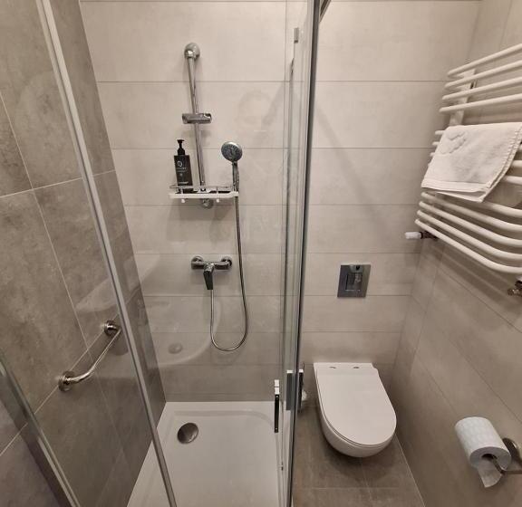 חדר סטנדרט לשלושה, Motel Comet