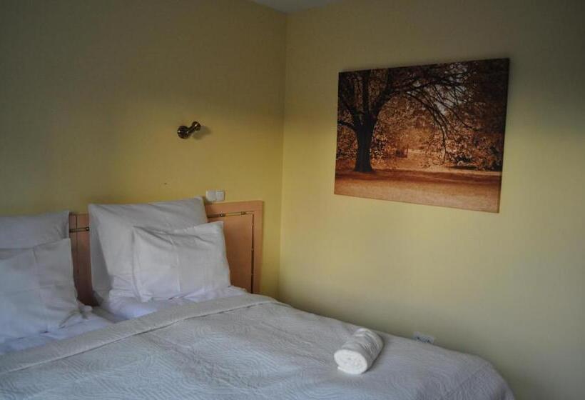 带大床的标准间, Monali