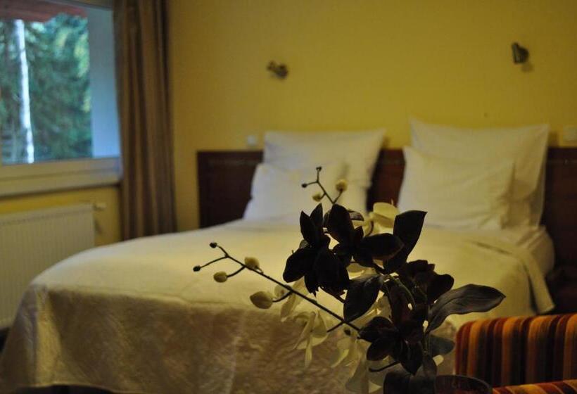 带大床的标准间, Monali