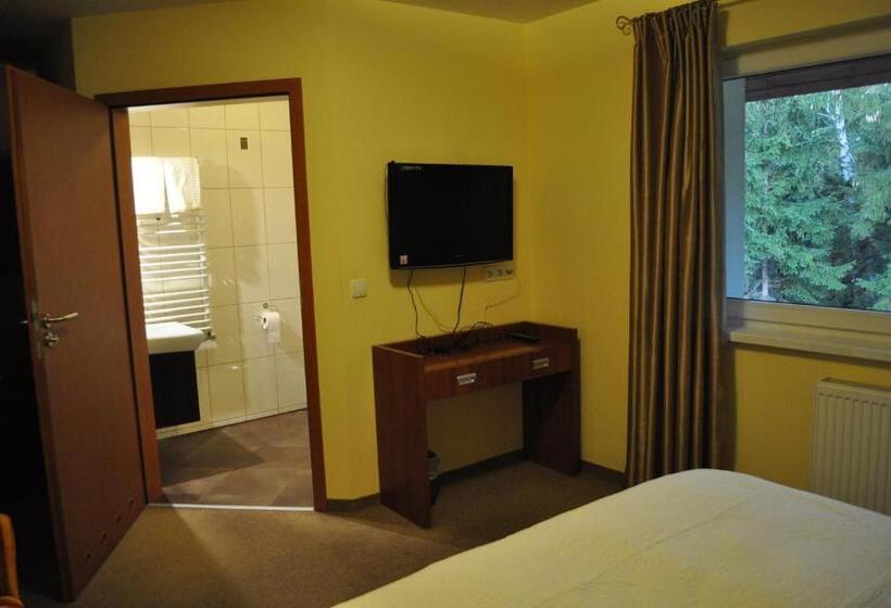 带大床的标准间, Monali