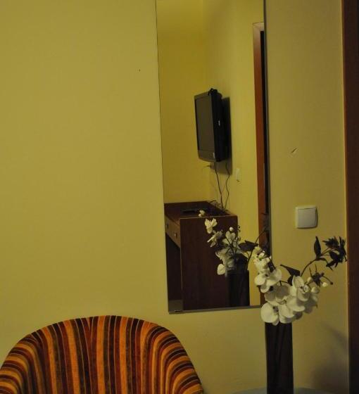 带大床的标准间, Monali