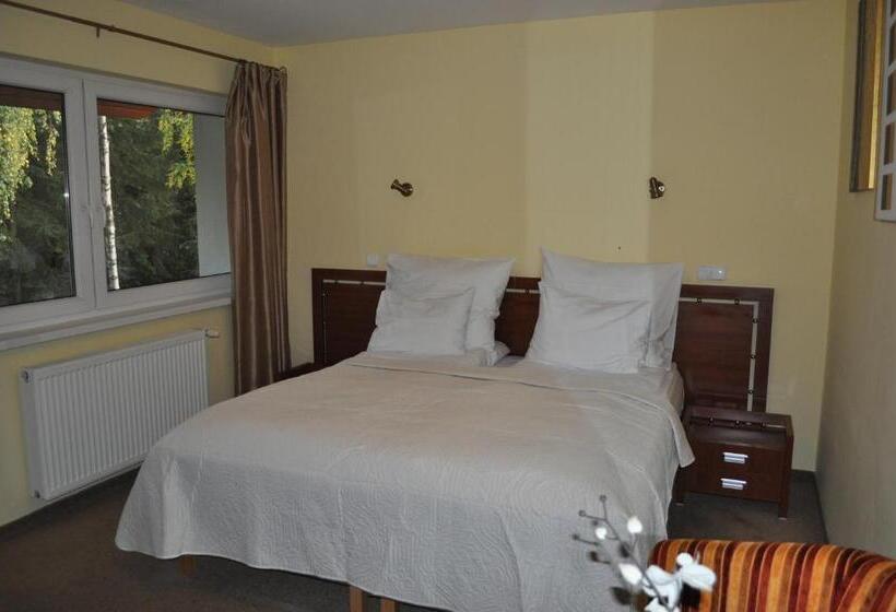 带大床的标准间, Monali