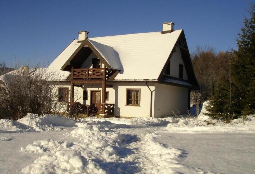 דירת חדר בקומת קרקע, Werchowyna