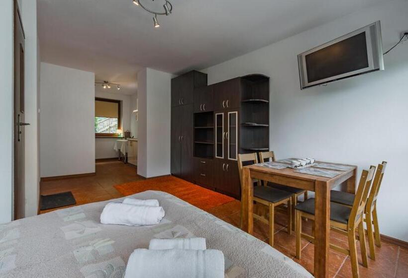 استودیوی استاندارد, Noclegi Abc