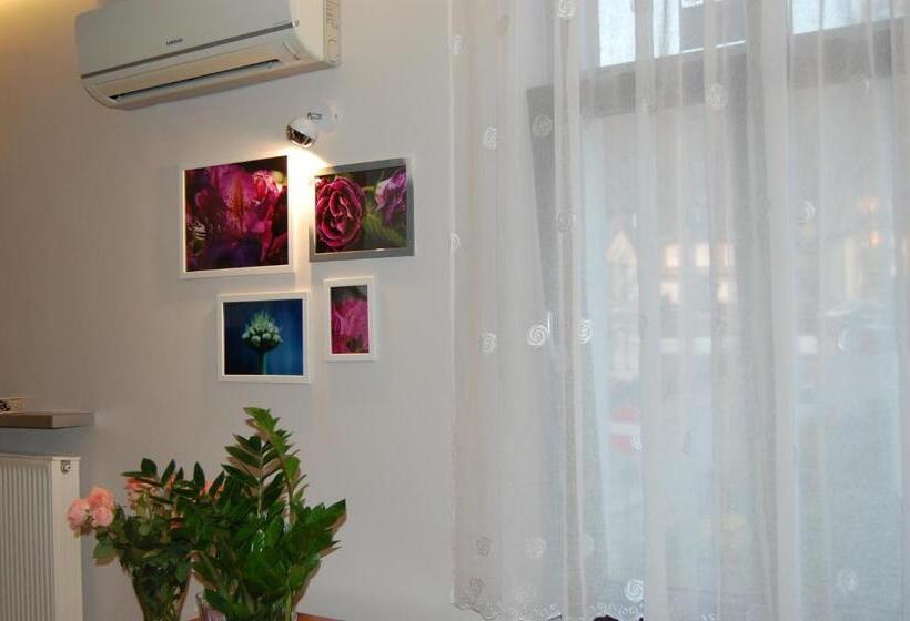 شقة غرفة واحدة, Villa Star