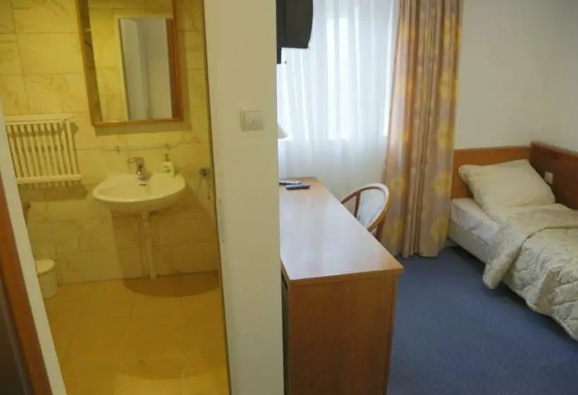 Standard Yhden Hengen Huone, Willa Maksymilian Bed And Breakfast