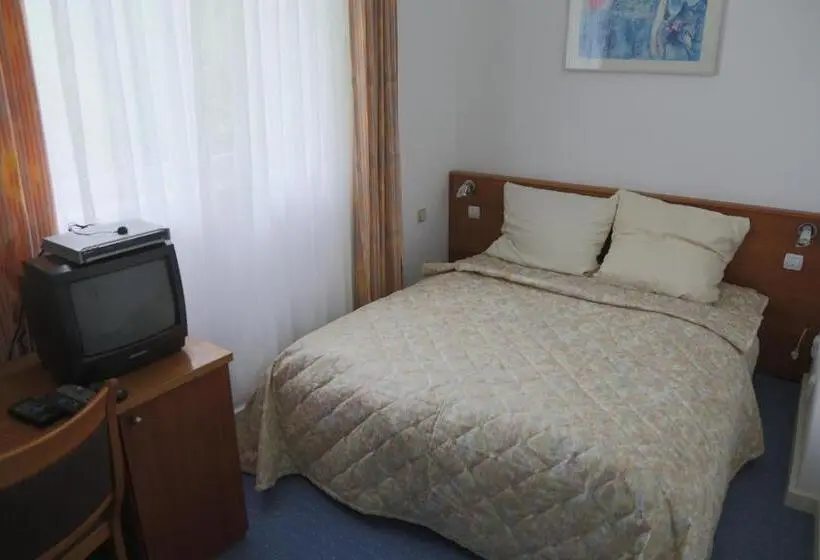 Standard-huone, Willa Maksymilian Bed And Breakfast