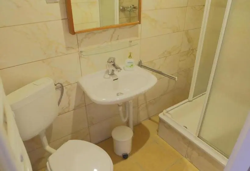 Standard Kolmen Hengen Huone, Willa Maksymilian Bed And Breakfast