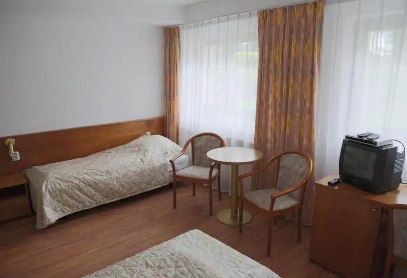 Standard Kolmen Hengen Huone, Willa Maksymilian Bed And Breakfast