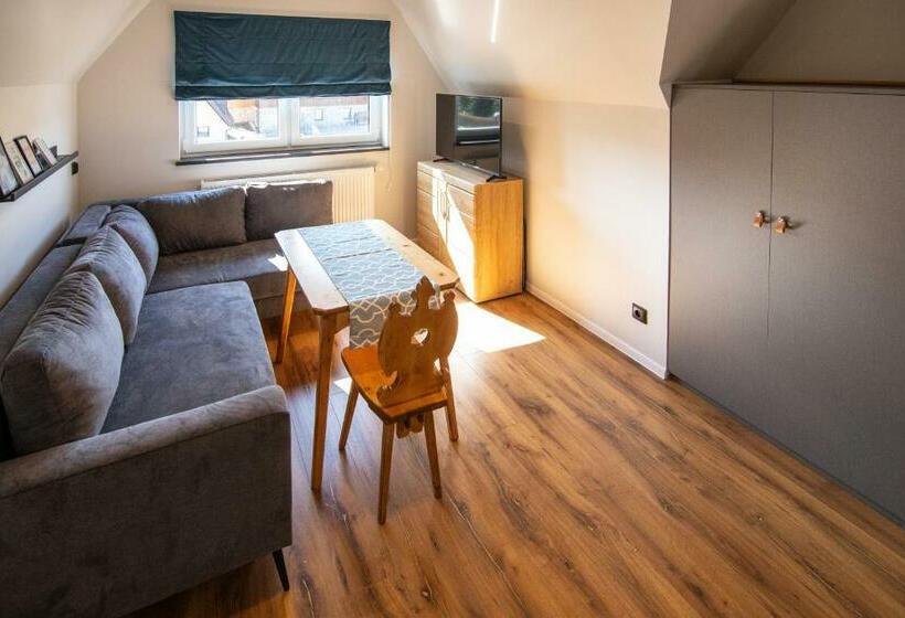 １ベッドルームのデラックスアパートメント, 5 Wierchów Apartamenty