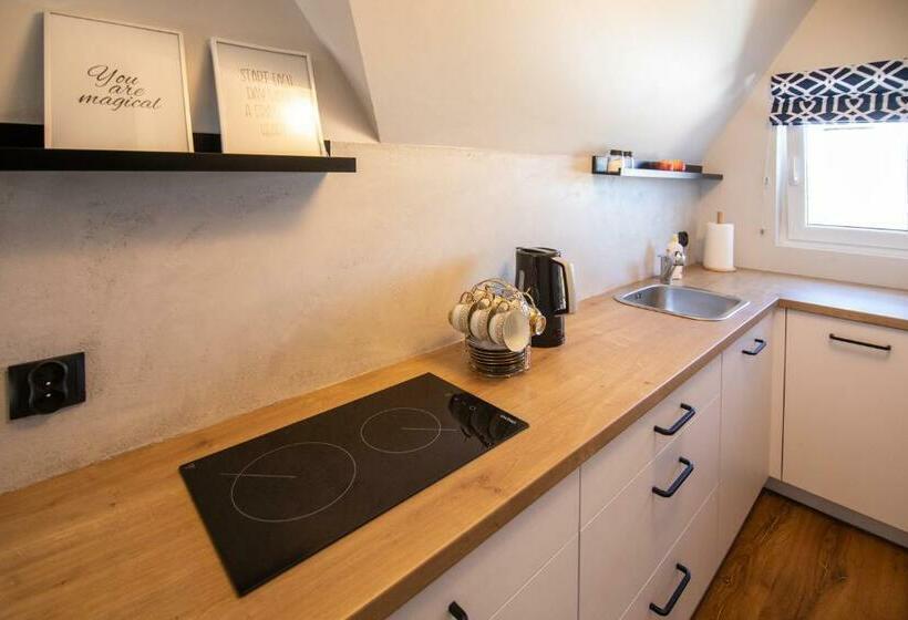 Апартаменты Deluxe 1 Спальня, 5 Wierchów Apartamenty