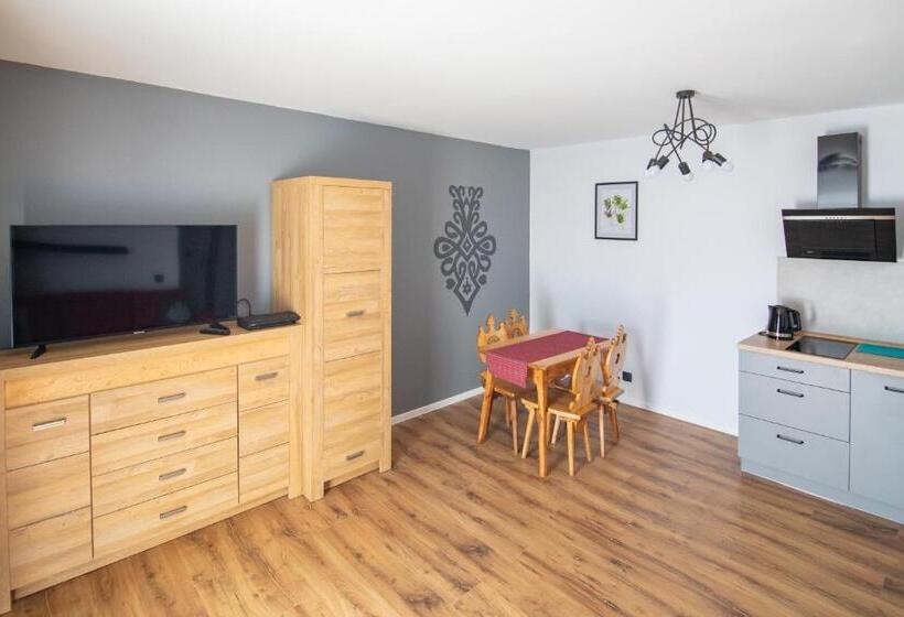 Апартаменты 1 Спальня с Террасой, 5 Wierchów Apartamenty