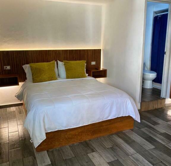 Standard Szoba, Daba