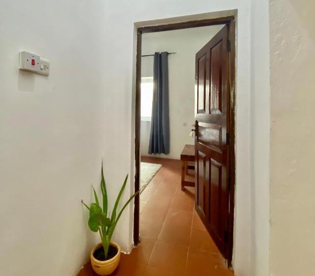 エコノミールーム, Tamu Garden