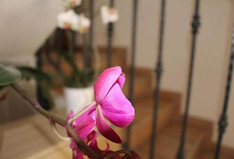 スタンダード4人部屋, Alla Stazione