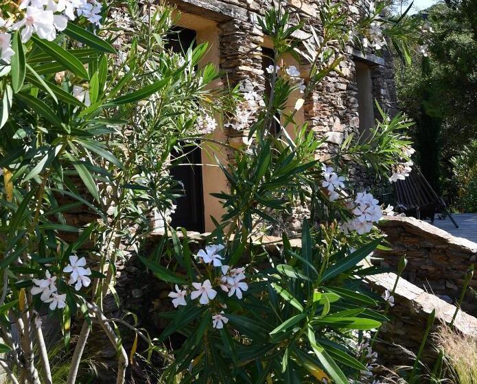 バルコニー付きスタンダードルーム, Chambres D Hôtes Le Pontillaou