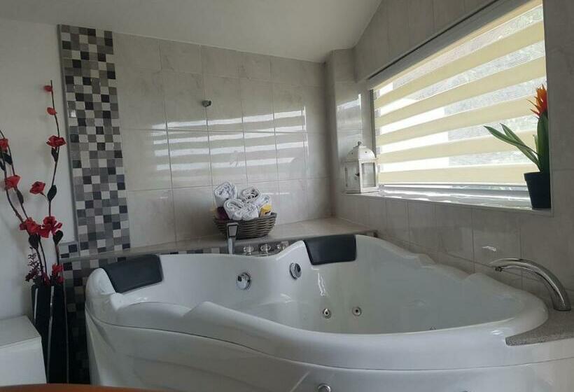 اتاق استاندارد با وان آب گرم, Vila Vinik