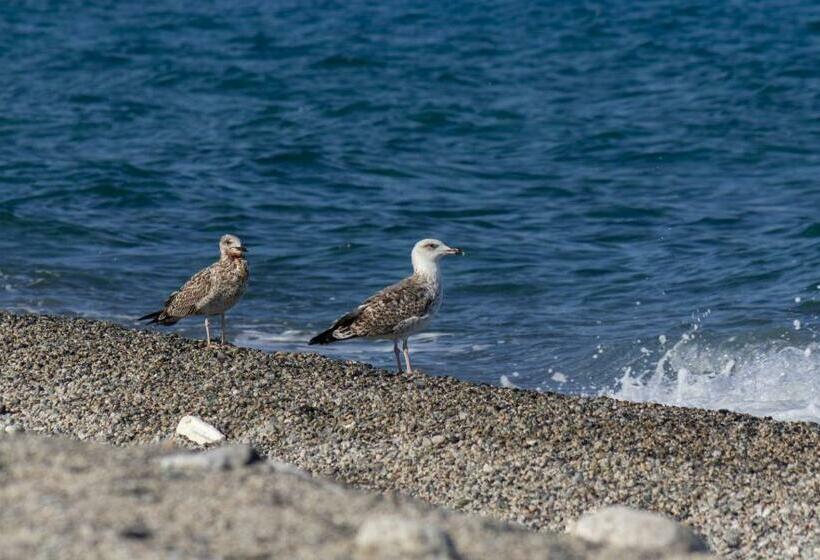 منزل غرفة نوم واحدة, Residence Il Faro