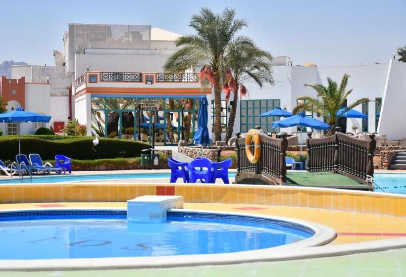 اتاق لوکس با چشم‌انداز دریا, Gafy Resort Aqua Park