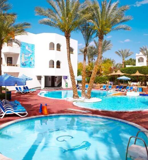 اتاق لوکس یک تخته, Gafy Resort Aqua Park