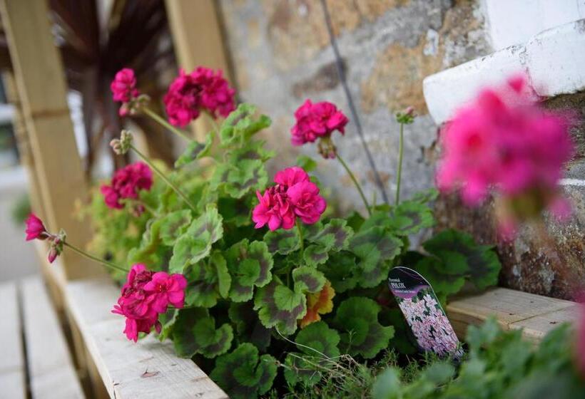 家庭间, The Victoria Inn